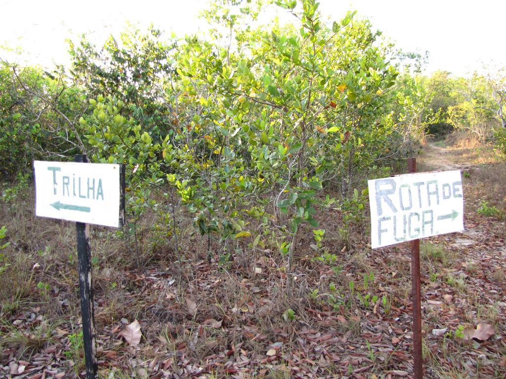 Hotel Fazenda Arara Azul Carolina  Esterno foto