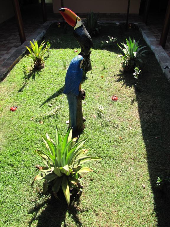 Hotel Fazenda Arara Azul Carolina  Esterno foto