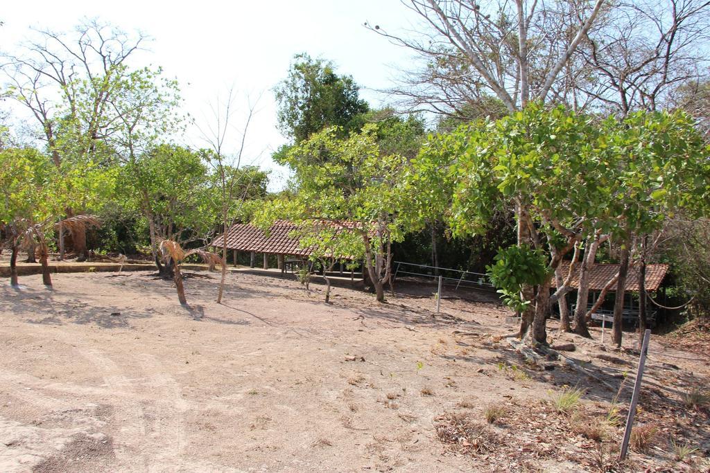 Hotel Fazenda Arara Azul Carolina  Esterno foto